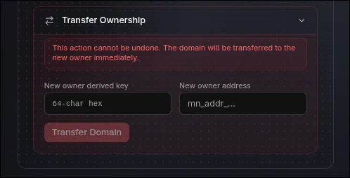 Domain transfer address paste